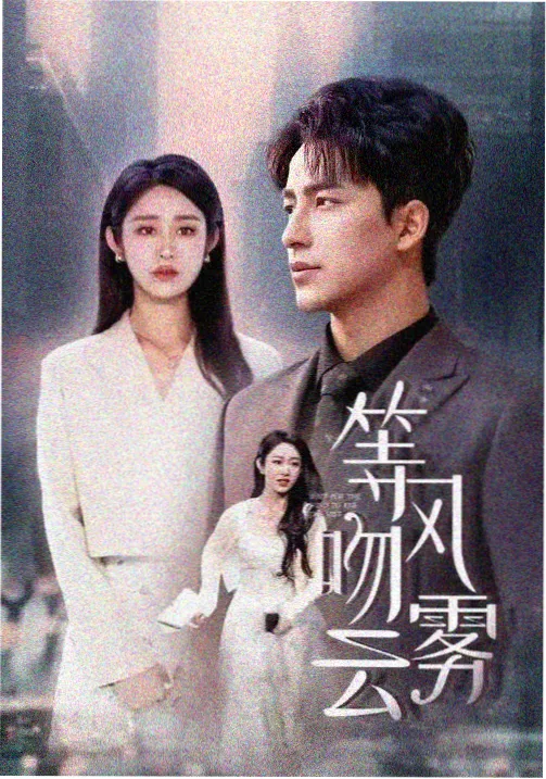 红楼梦 经典名著改编